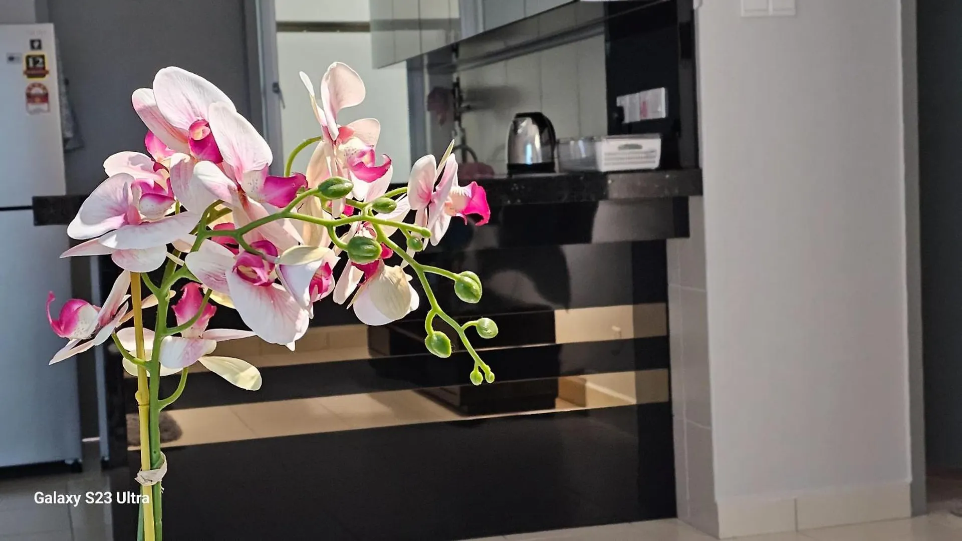 アパート Ipoh Town R&E Homestay